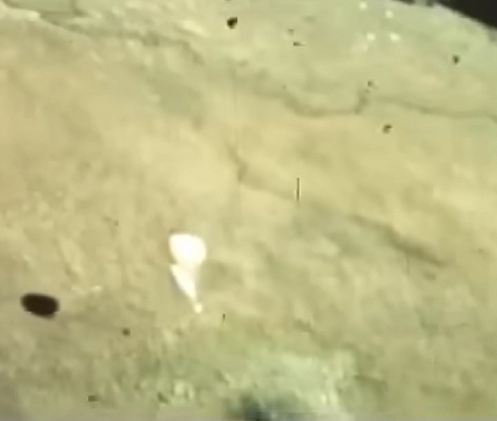 O uso dos paraquedas para soltar os castores era para garantir que eles fossem caíssem de uma altura segura e pudessem se adaptar ao novo lugar sem se machucar.