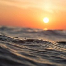 Dia Mundial dos Oceanos alerta sobre a importância desta fonte de biodiversidade - DINO