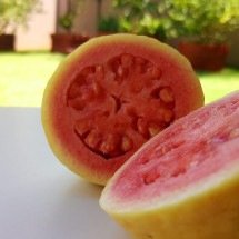 Ótima para doces e rica em vitaminas, goiaba também é útil na medicina popular - Imagem de Jose Paulo por Pixabay

