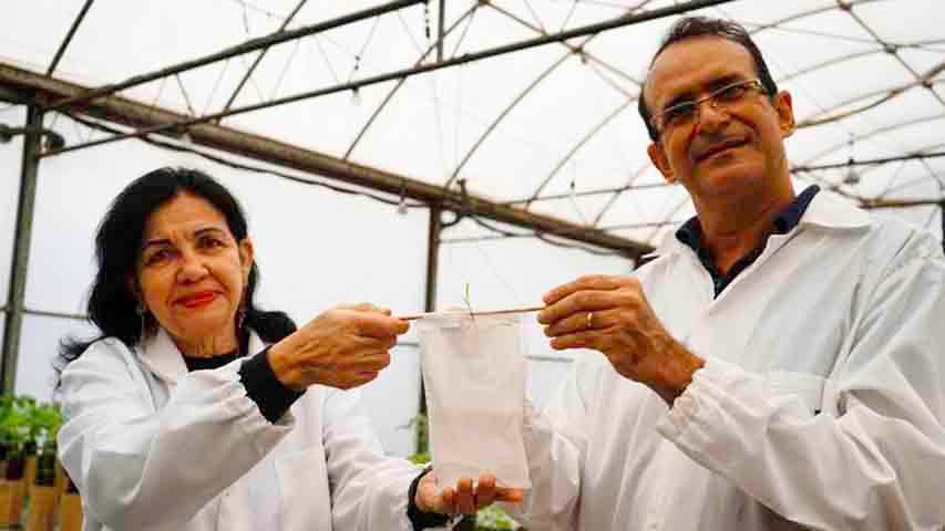 "Essa luta de anos finalmente estÃ¡ dando frutos e pode servir de exemplo para outras cooperativas", declarou a cientista, ao falar dos trabalhos de bioinsumos voltados para agricultores familiares. 

