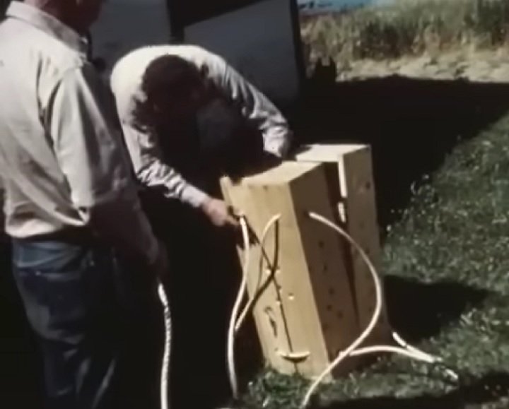 Foram necessários vários experimentos para fazer o plano funcionar. Foram criadas caixas de madeira sem tampa, que se abriam como malas e tinham furos de 2,5 cm para que os castores conseguissem respirar e se mexer durante o voo.