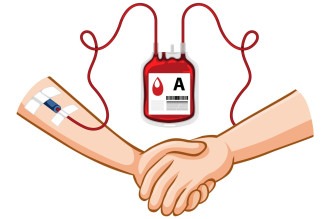 Doação de sangue: mitos e verdades sobre esse ato que salva vidas