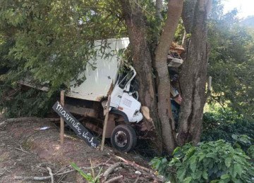 Motorista do caminhão morreu com o impacto da batida -  (crédito: Divulgação/CBMMG)