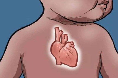 O ecocardiograma fetal é o exame que permite detectar anomalias no coração do bebê ainda na gestação -  (crédito: Quinho)
