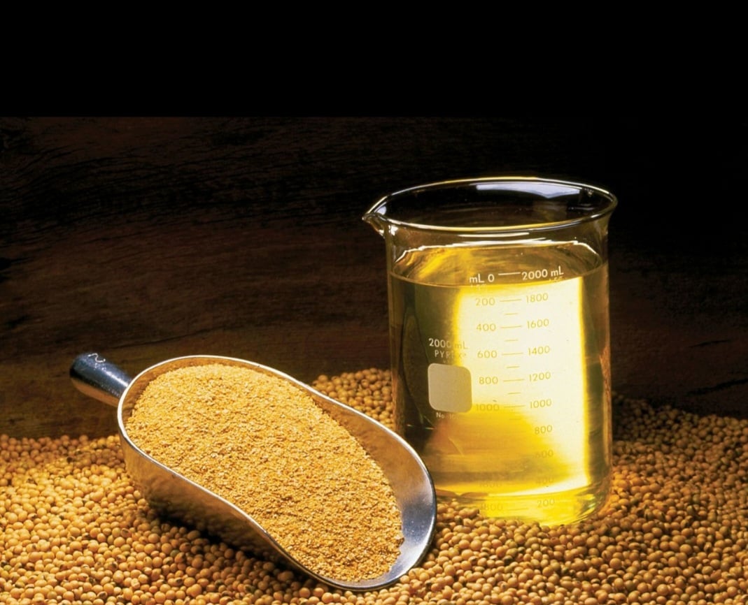 A soja está entre as melhores fontes de proteína à base de plantas. Ela pode ser consumida na forma de grãos, mas também existem produtos preparados a base desse alimento.