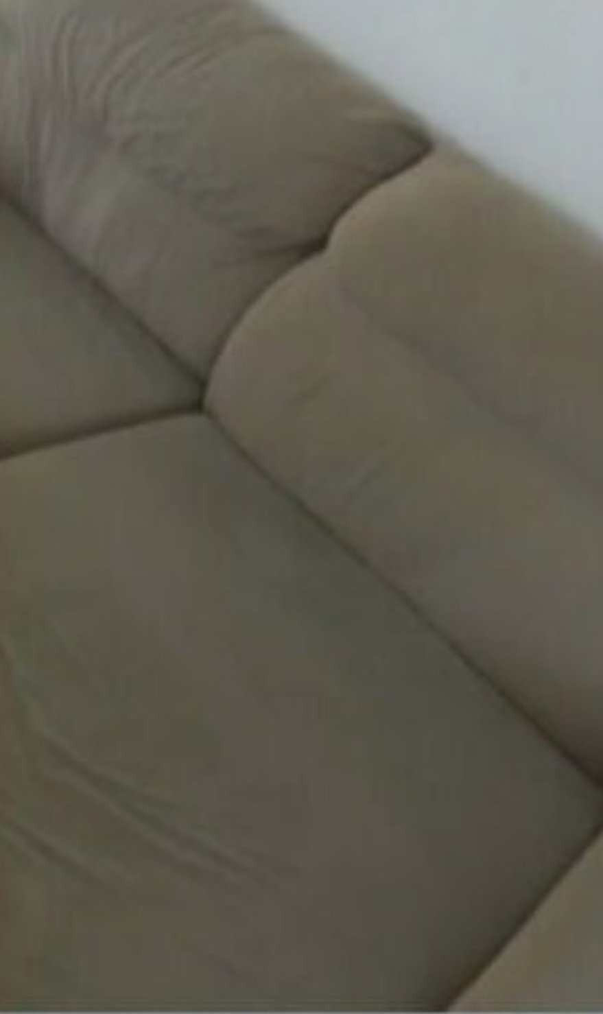 Pra quem não viu: Mulher compra sofá usado e acha cachorro dentro