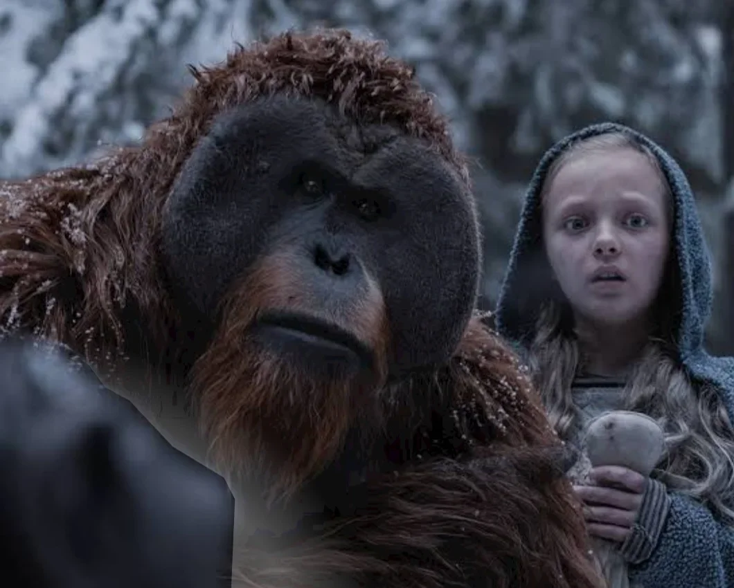 O macaco Maurice, querido do público na franquia "O Planeta dos Macacos" - uma espécie de conselheiro do líder Cesar - é um orangotango. E no filme sobre a guerra protege a menina encontrada na selva. 