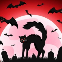 13 superstições bizarras pelo mundo que vão além da sexta-feira 13 - FreePik