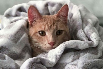 Prepare o cobertor! Sabará terá final de semana marcado pelo frio