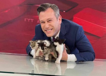 Apresentador Emre Buga com os filhotes de gato durante telejornal -  (crédito: TYT Türk)