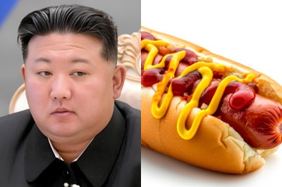 Por ordem do líder e ditador norte-coreano Kim Jong-un, o consumo de cachorro-quente é proibido na Coreia do Norte. Ele afirma que o prato é um "símbolo da cultura ocidental e capitalista".  -  (crédito: montagem/wikimedia commons Kremlin.ru/freepik)