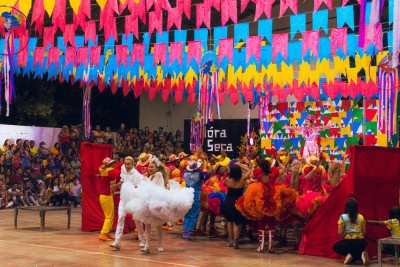 Separe sua camisa xadrez, ajeite o chapéu de palha e aproveite o fim de semana ao som do triângulo e da sanfona nas festas juninas -  (crédito: Reprodução/Pexels)