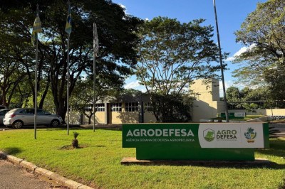 Agência goiana enviou equipes que constataram o caso de gripe aviária no estado -  (crédito: Divulgação)