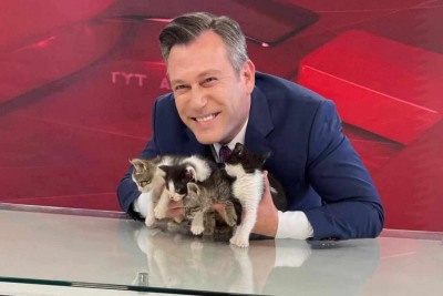 Apresentador Emre Buga com os filhotes de gato durante telejornal -  (crédito: TYT Türk)