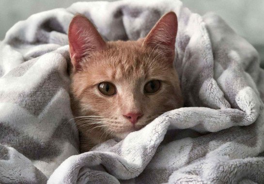 Prepare o cobertor! Sabará terá final de semana marcado pelo frio