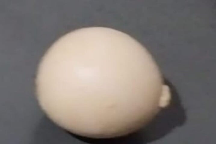 "No dia que achei, a galinha tinha botado só ele, mas depois aela também botou alguns outros com formato diferente, bem arredondado e com um 'pininho' em cima", disse.