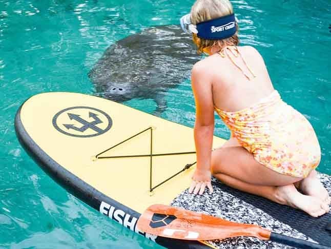 8º) Nadar com peixes-boi, Estados Unidos - Num passeio focado na natureza, as pessoas têm a oportunidade de nadar com peixes-boi no Rio Crystal, na Flórida, por um período de três horas. 