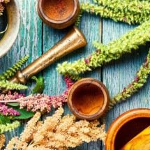 Plantas para dormir: saiba como melhorar o seu sono - Wemystic