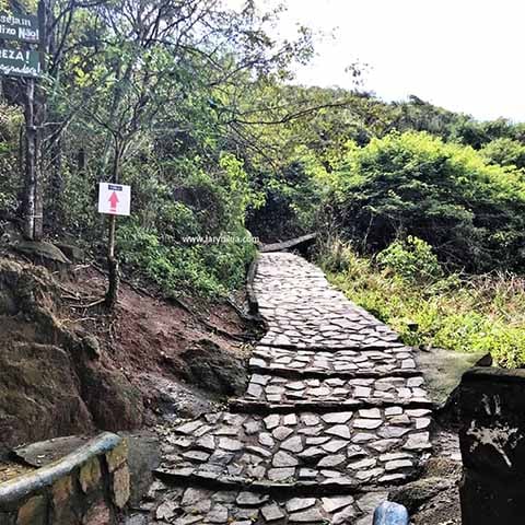 A trilha que parte da Praia dos Anjos leva ao mirante da Praia do Forno, revelando uma das vistas mais espetaculares de Arraial do Cabo. Apesar da subida íngreme, o percurso é curto e ível. O mirante conta com um banco onde é difícil não parar para irar a paisagem.