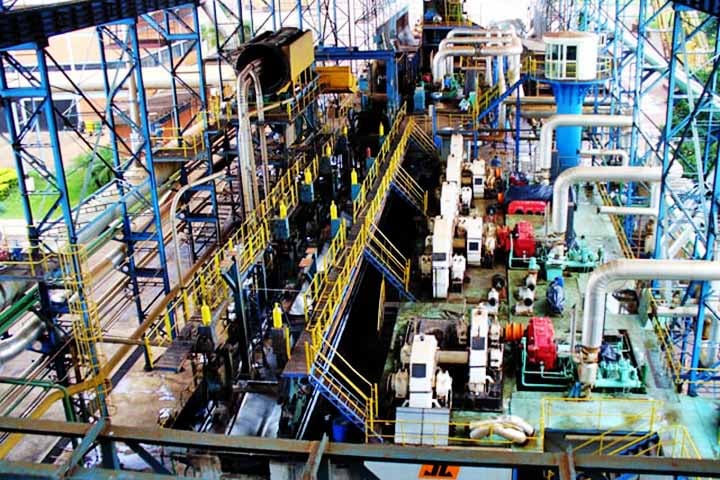 Fonte de energia, a cana Ã© indispensÃ¡vel quando se fala em um desenvolvimento mais sustentÃ¡vel. Isso porque ela surge como uma alternativa de combustÃ­vel renovÃ¡vel e Ã© capaz de substituir o petrÃ³leo sem causar danos ambientais.