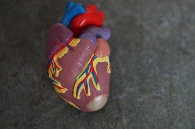 Um dos principais benefícios da natação é o fortalecimento do coração. A atividade aumenta a frequência cardíaca e melhora a circulação, diminuindo o risco de doenças cardiovasculares. -  (crédito: Robina Weermeijer Unsplash)
