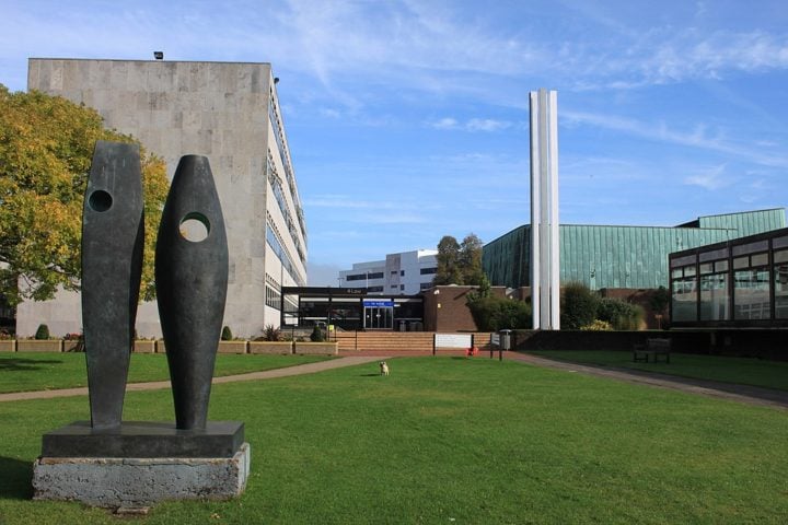 Um grupo de cientistas da Universidade de Southampton, na Inglaterra, está tentando encontrar possíveis "parceiras" para a planta com a ajuda da inteligência artificial.