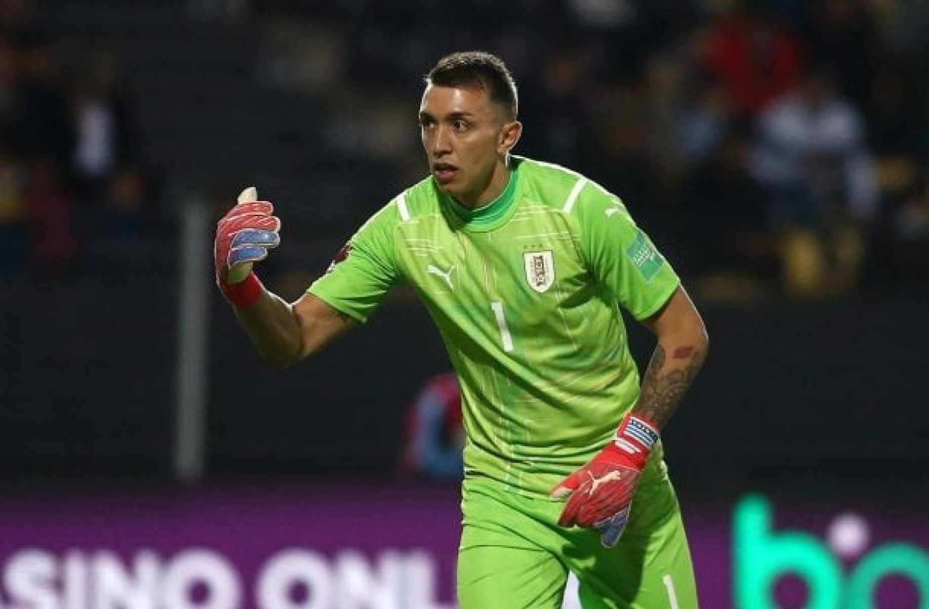 Estudiantes acerta a contratação do goleiro Fernando Muslera Estudiantes acerta a contratação do goleiro Fernando Muslera