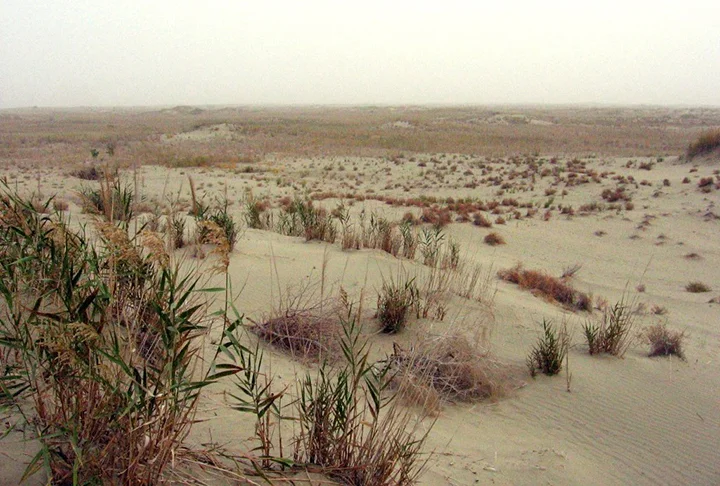 Uma região de deserto é definida como uma área onde se evapora mais água do que é reposto pela chuva. Por isso, as maiores regiões desérticas estão sobre os oceanos, onde o volume de água evaporada é muito maior do que o volume de chuva. O portal de meteorologia Climatempo explica alguns tipos de deserto e o motivo de sua existência. 