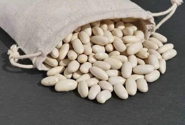 O feijÃ£o branco possui alto teor de fibras, proteÃ­nas e minerais, como o cÃ¡lcio, potÃ¡ssio e o zinco. Ele Ã© conhecido por auxiliar na reduÃ§Ã£o do colesterol e fortalecer nosso sistema de defesa. 