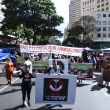 Entidades protestam contra a exportação de animais vivos para abate em BH - Gladyston Rodrigues/EM/D.A Press