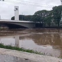 Curiosidades sobre o Rio Tietê que muitos nem sequer imaginariam - reprodução/tv globo