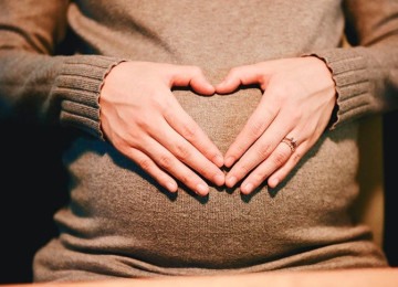 Dados da Organização Mundial da Saúde (OMS) revelam que a infertilidade feminina tem aumentado em números impressionantes -  (crédito: pixabay)