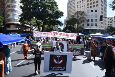 A exportação de animais vivos é um triplo desastre: legal, ambiental e econômico -  (crédito: Gladyston Rodrigues/EM/D.A Press)