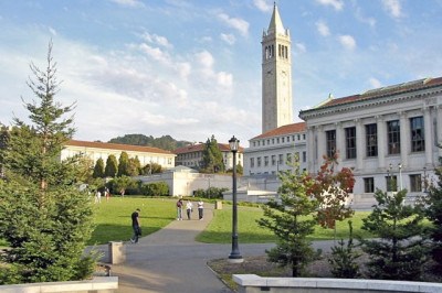 Biólogos da Universidade da Califórnia, nos Estados Unidos, fizeram testes e concluíram que os flamingos são capazes de demonstrar táticas apuradas para a captura de presas.  O resultado da pesquisa foi publicado na revista científica PNAS. -  (crédito: Gku wikimedia commons )