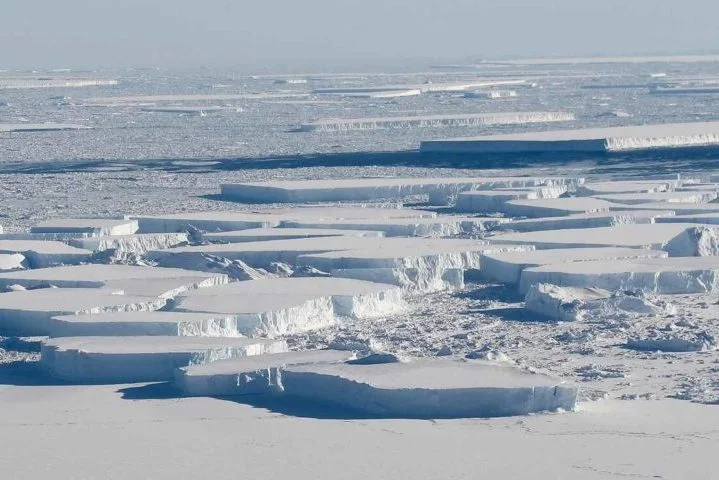 O clima polar, com frio extremo, ventos intensos e tempestades de neve, marcam a Antártida, onde os únicos habitantes são pesquisadores que atuam em estações científicas. 
