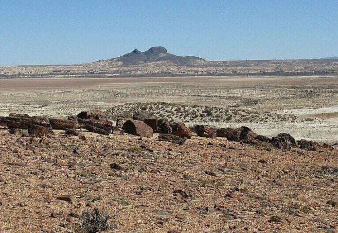 7º Patagônia (670.000 km²) - Fica na Argentina e se destaca pela riqueza mineral.  Tem petróleo e ferro. Possui vegetação de estepe, adaptada à falta de chuvas.  