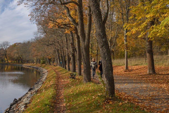 Apesar de ser uma metrópole, Estocolmo possui uma grande quantidade de áreas verdes e parques. O Royal National City Park, o primeiro parque nacional urbano do mundo, é um dos destaques.-Arild Vågen