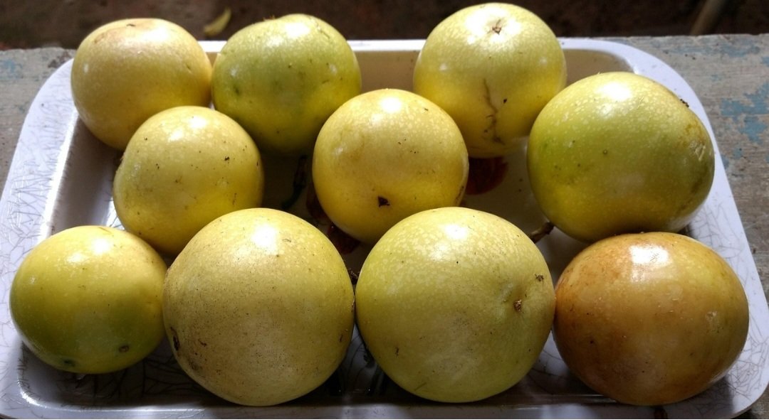 O nome do fruto vem do tupi-guarani e significa "alimento em forma de cuia". A planta do maracujazeiro, do gênero Passiflora, possui diversas espécies, incluindo o maracujá-amarelo, maracujá-roxo e maracujá-doce