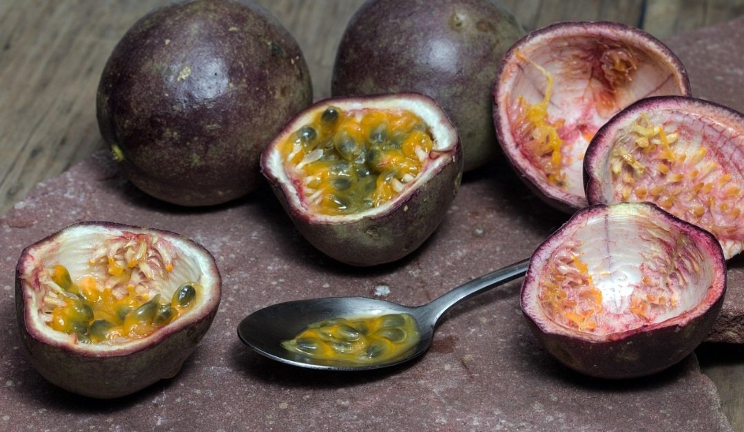 Ele, então, possui um simbolismo religioso. Afinal, missionários espanhóis, ao observarem a flor do maracujá, o associaram aos elementos da Paixão de Cristo, como os pregos e a coroa de espinhos, daí a denominação "fruta da paixão" em outras línguas. 