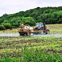 Para Faemg, conflito EUA/Irã vai resultar em aumento do custo de produção - -Imagem  por Pixabay