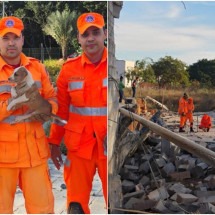 Obra realizada no local tem como finalidade a construção de um galpão. O animal estava preso desde a última sexta (13) -  (crédito: CBMMG)