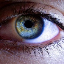 Urgência oftalmológica: fique atento aos sinais do descolamento de retina  - Freepik