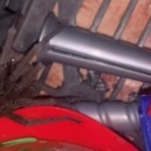 Caso serve de alerta: aranha venenosa estava na caixa de brinquedos - Reprodução redes sociais 