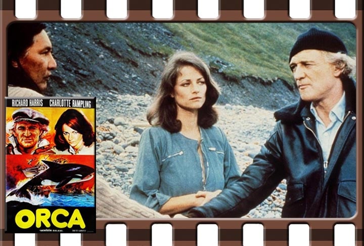A fama de orca, de forma equivocada, como baleia, se propagou por causa do filme "Orca", de 1977, produzido nos Estados Unidos.