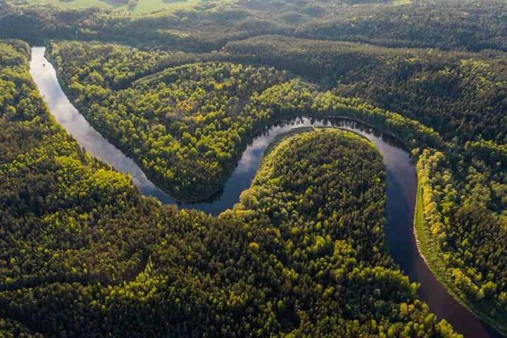 Além disso, o rio Amazonas abriga uma imensa diversidade de espécies animais e vegetais, sendo essencial para o equilíbrio ecológico da Amazônia.