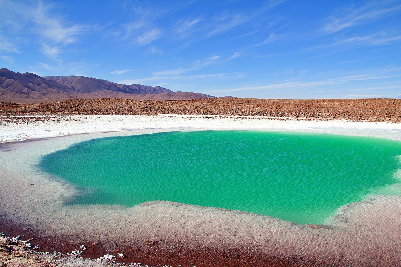 No local, doze piscinas de água rasa e cristalina, cercadas por montanhas, constituem o recém-descoberto "ecossistema alienígena", que se estende por 10 hectares de deserto, segundo os pesquisadores. 