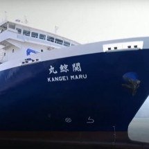 Shipbroker: Profissão pouco conhecida tem mercado aberto - reproduÃ§Ã£o youtube Le Parisien