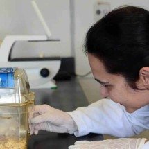 Tecidos feitos em laboratório podem aperfeiçoar testes de medicamentos