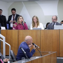 Valor da Codemig causa impasse em audiência pública na Assembleia - Daniel Protzner/ALMG