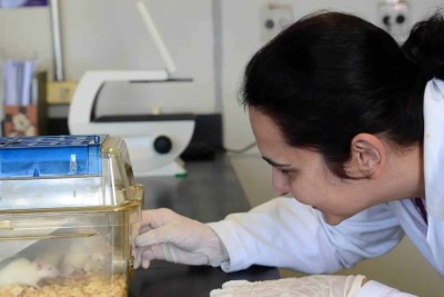 Um dos exemplos mais disseminados são os tecidos de pele, usados na indústria cosmética, em substituição aos testes feitos em animais -  (crédito:  Rovena Rosa/Agência Brasil)